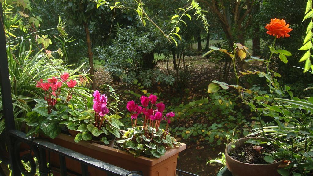 Bed and Breakfast Cagliari House Рим Экстерьер фото